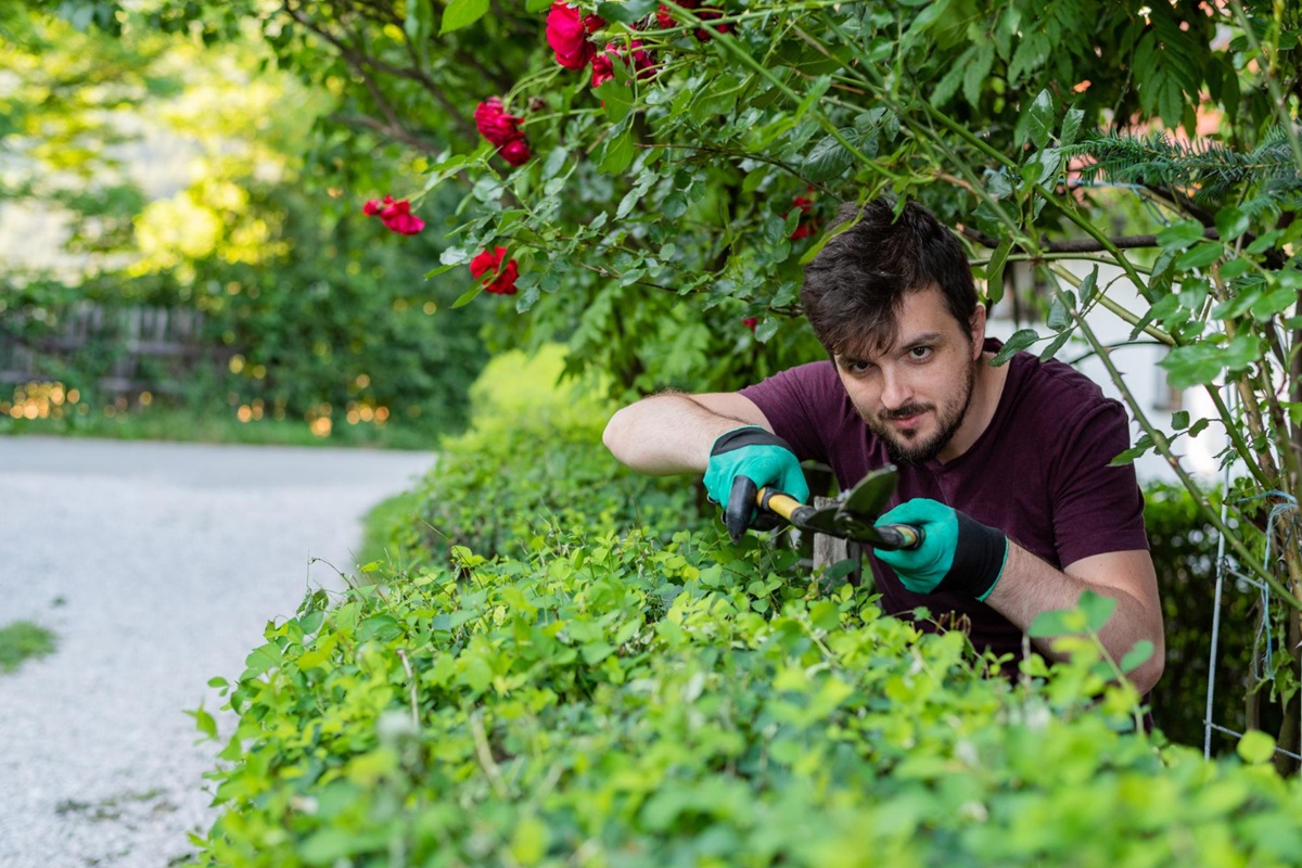 Do you garden? Here are 5 ultra-common mistakes that sabotage all your hard work (and how to avoid them)